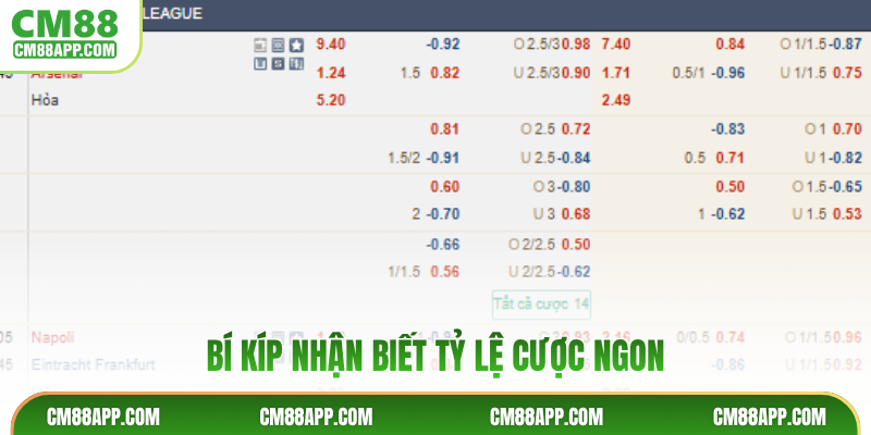 Bí kíp nhận biết tỷ lệ cược ngon