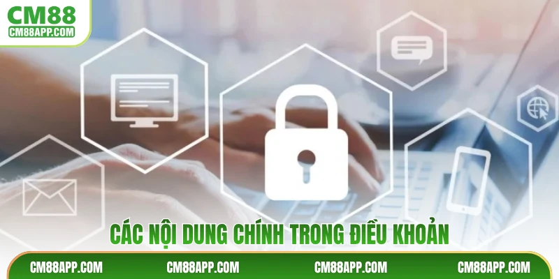 Các nội dung chính trong điều khoản