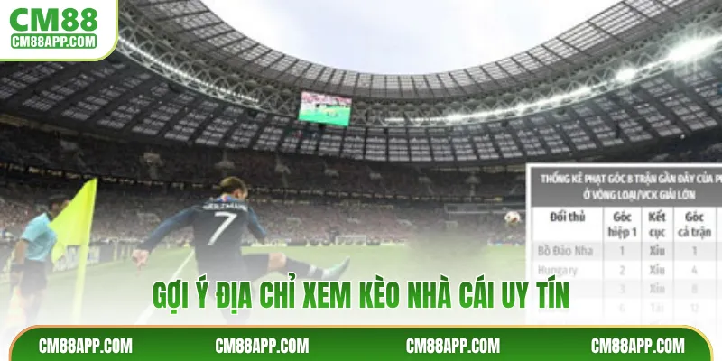 Gợi ý địa chỉ xem kèo nhà cái uy tín