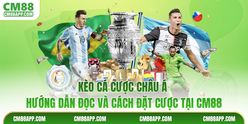 Kèo Cá Cược Châu Á - Hướng Dẫn Đọc Và Cách Đặt Cược Tại CM88